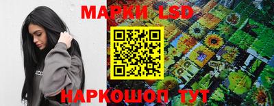шишки Жуковский