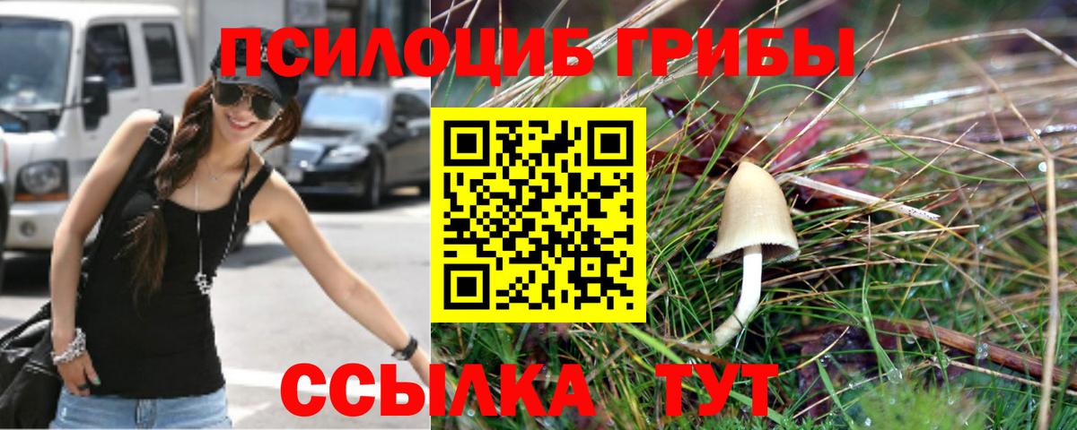 Холмск  Псилоцибиновые грибы мицелий  Вход с VPN  Псилоцибиновые грибы Cubensis 