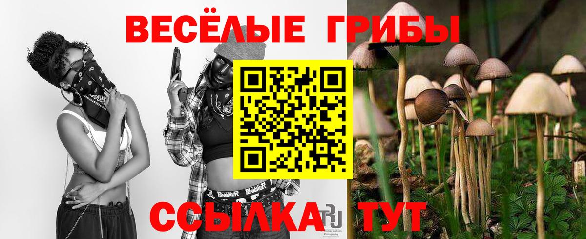 Псилоцибиновые грибы мицелий Холмск